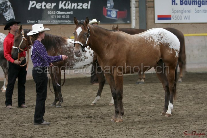 HE-Halter_143.jpg