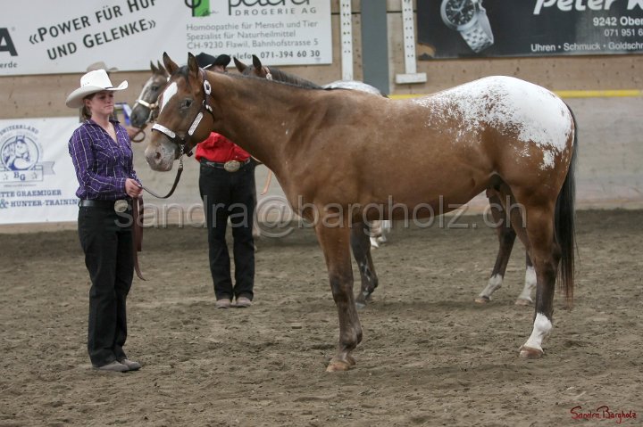 HE-Halter_144.jpg