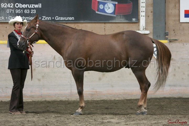 HE-Halter_145.jpg