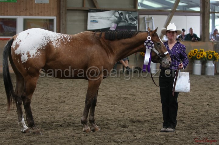 HE-Halter_146.jpg