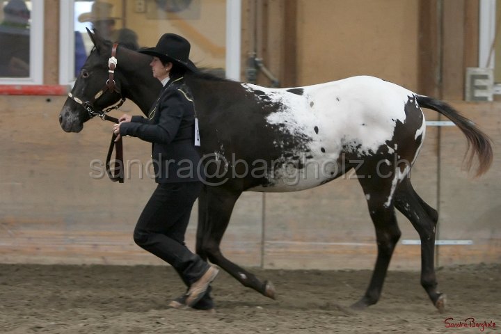 HE-Halter_147.jpg