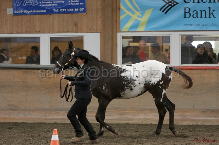 HE-Halter_148.jpg