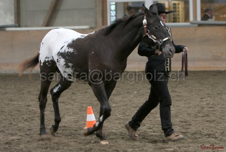 HE-Halter_149.jpg