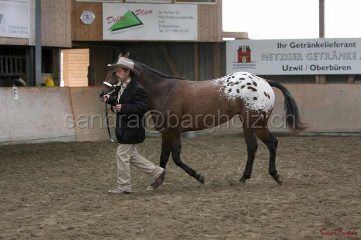 HE-Halter_151.jpg