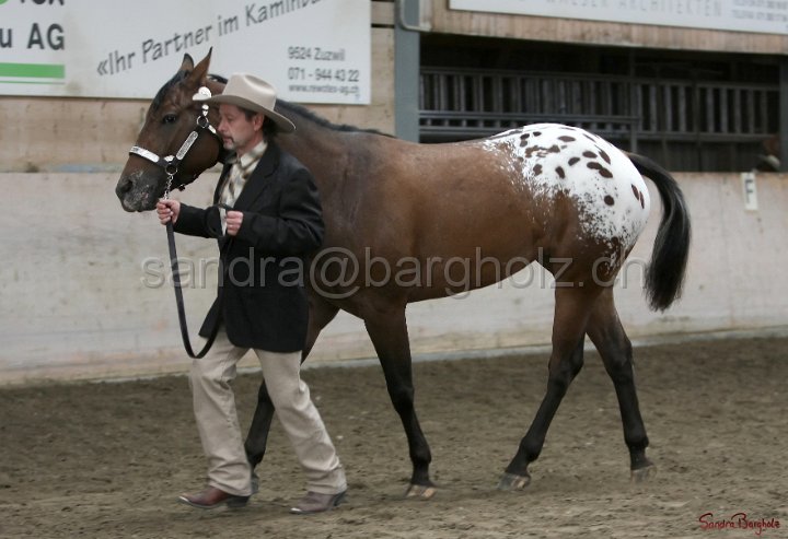 HE-Halter_152.jpg