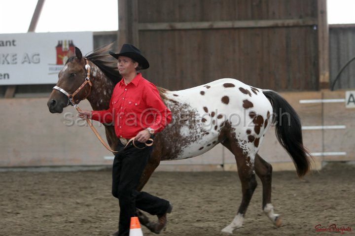HE-Halter_154.jpg