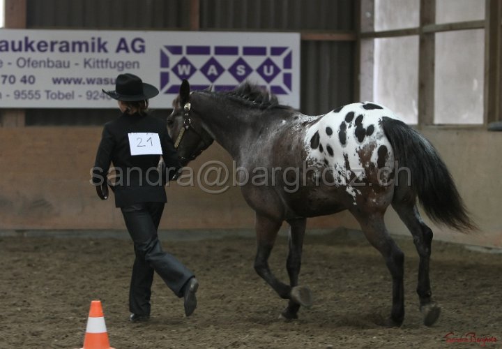 HE-Halter_156.jpg