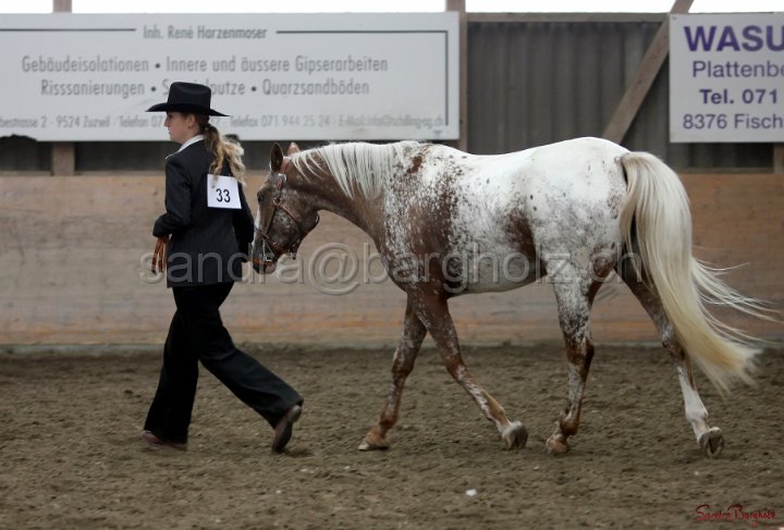HE-Halter_160.jpg
