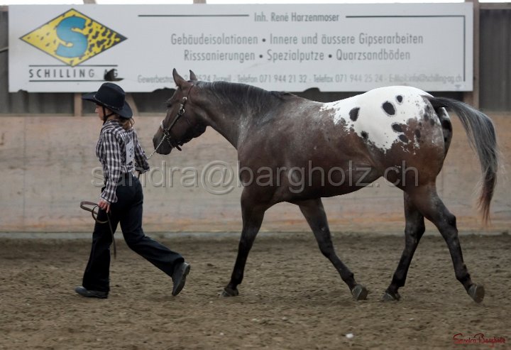 HE-Halter_162.jpg