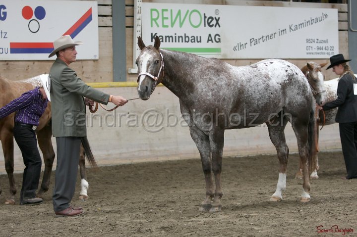 HE-Halter_164.jpg