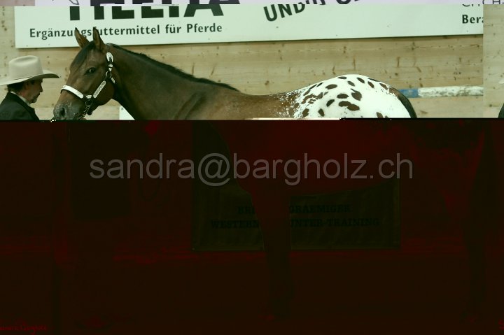 HE-Halter_166.jpg