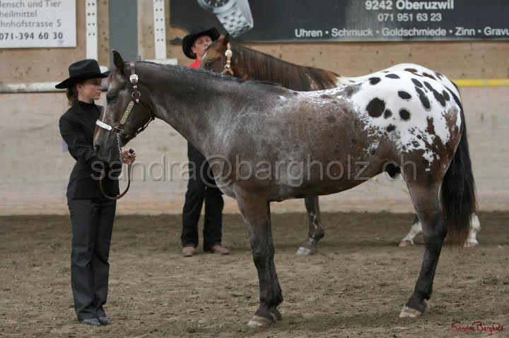 HE-Halter_167.jpg