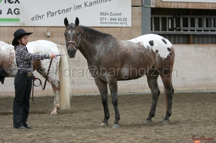 HE-Halter_169.jpg