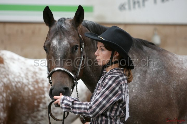 HE-Halter_170.jpg