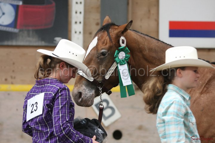 HE-Halter_172.jpg