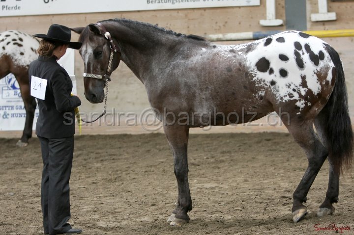 HE-Halter_176.jpg