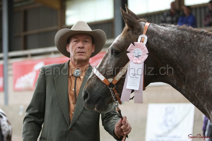 HE-Halter_178.jpg