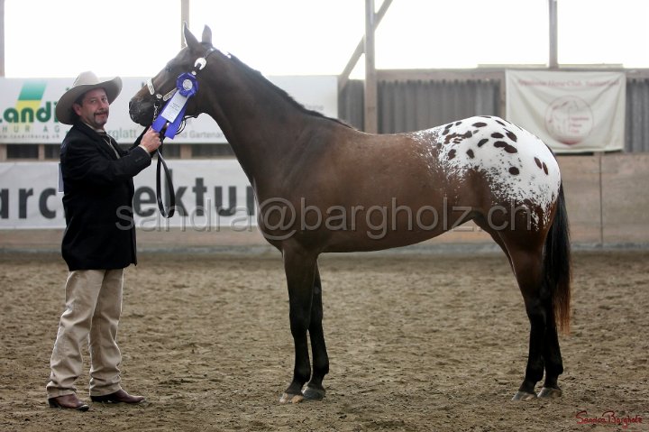HE-Halter_179.jpg