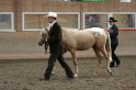 HE-Halter_004