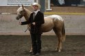 HE-Halter_010