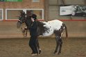 HE-Halter_014
