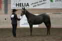 HE-Halter_019