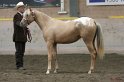 HE-Halter_022