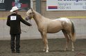 HE-Halter_023