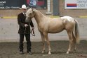 HE-Halter_025
