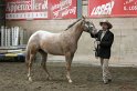 HE-Halter_037
