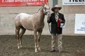 HE-Halter_039