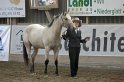 HE-Halter_043