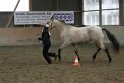 HE-Halter_045