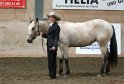 HE-Halter_047