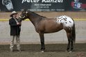 HE-Halter_058
