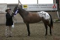 HE-Halter_064