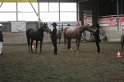 HE-Halter_068