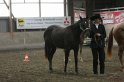 HE-Halter_069