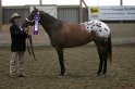 HE-Halter_076