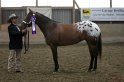 HE-Halter_077