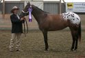 HE-Halter_078