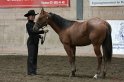 HE-Halter_088
