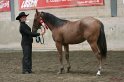HE-Halter_095