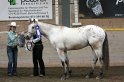 HE-Halter_106
