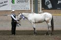 HE-Halter_107