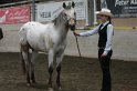 HE-Halter_110