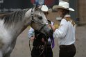 HE-Halter_112
