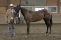 HE-Halter_114