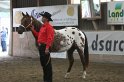 HE-Halter_115