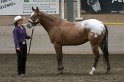 HE-Halter_123